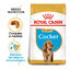 Royal Canin Puppy Cocker pienso para perros, , large indicador imagen numero 2
